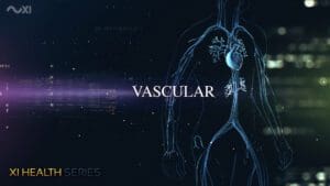 Vascular Health | XI Health Series