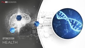 Health | XI Human: Optimization