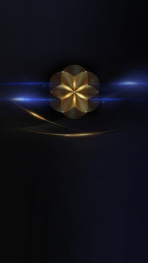 Test product 19 Feb 2026